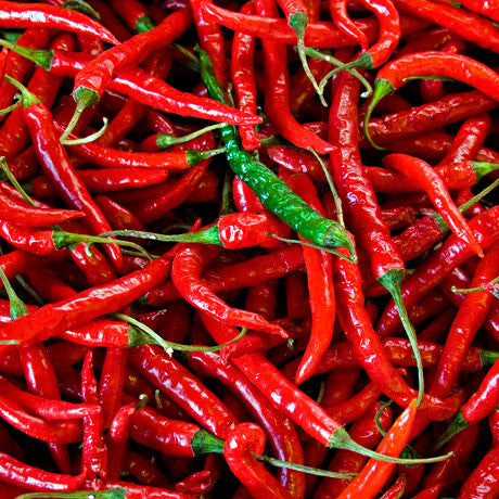 Ruin Your Day Ultra Hot Sauce